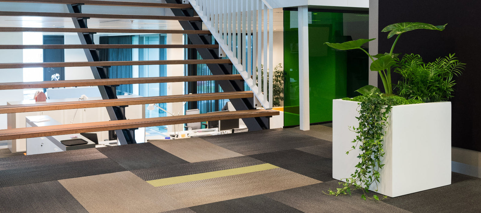 Indoor Plants for Businesses: Renting vs. Owning Your Oasis