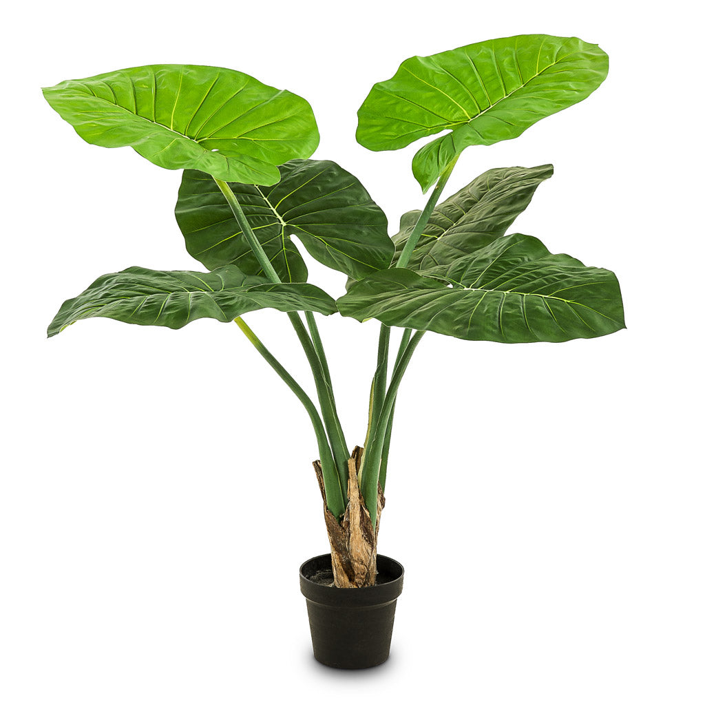 Alocasia Artificial - 90cm