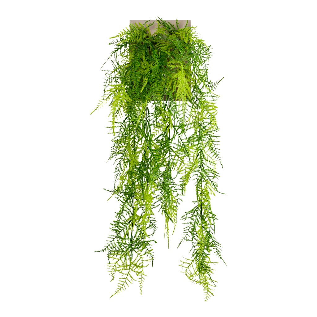Asparagus Plumosus Hanging Bush Artificial - 80cm - (6-Stems)