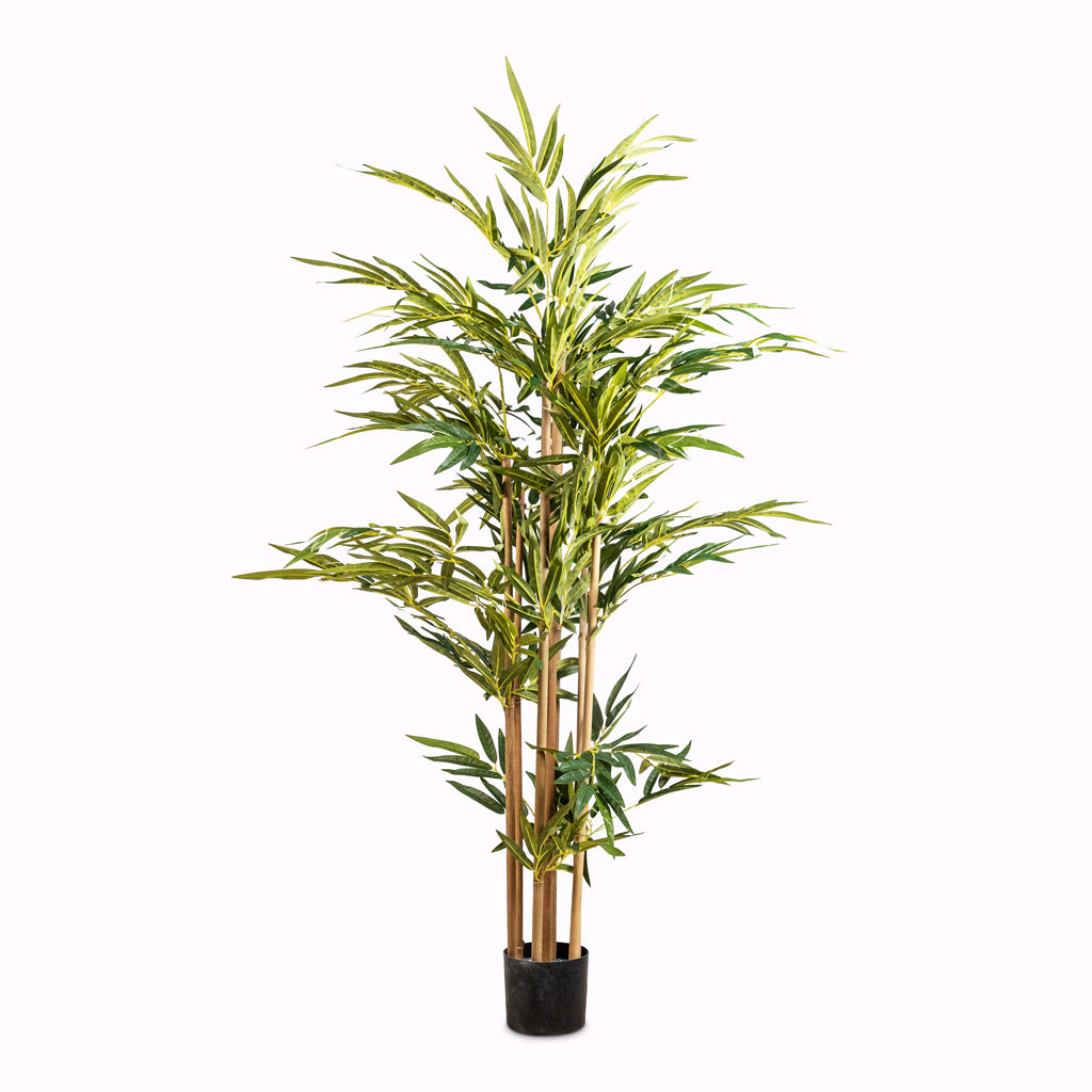 Bamboo - Potted - Artificial