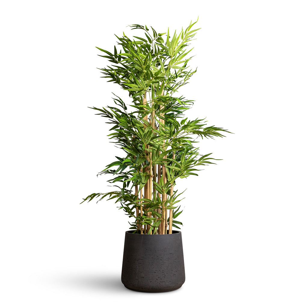 Patt Plant Pot - Black Washed
