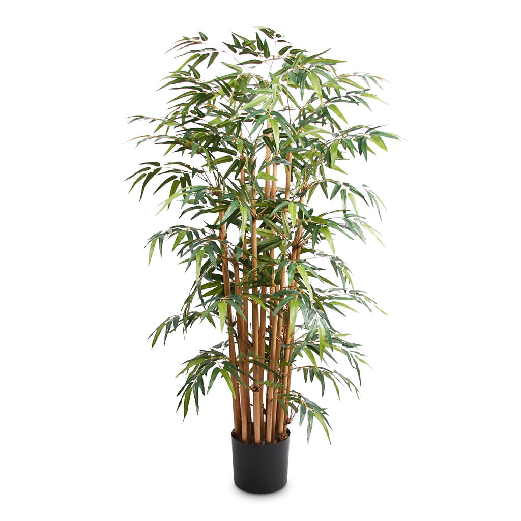 Bamboo Deluxe - Artificial Plant - 145cm - (15 Stems)