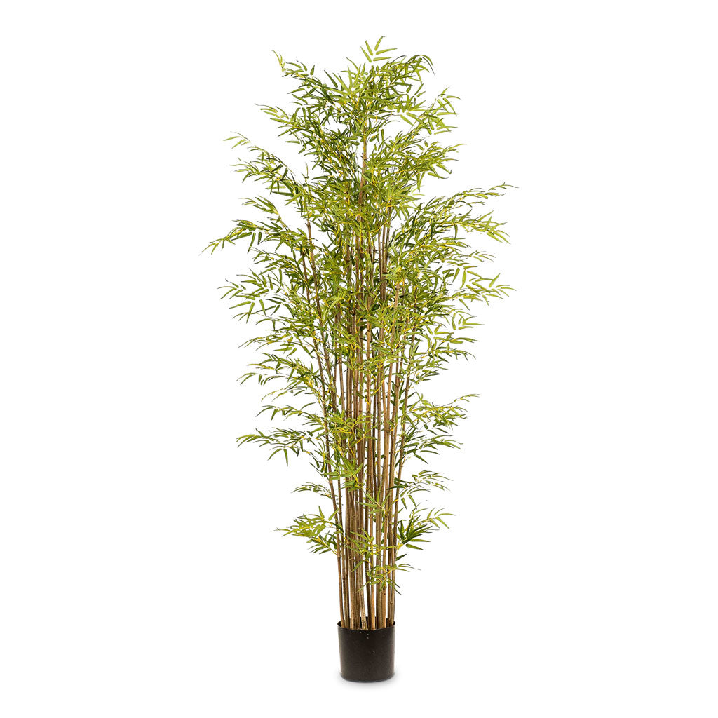 Bamboo Japanese - Artificial Plant - 210cm - (21 Stems)