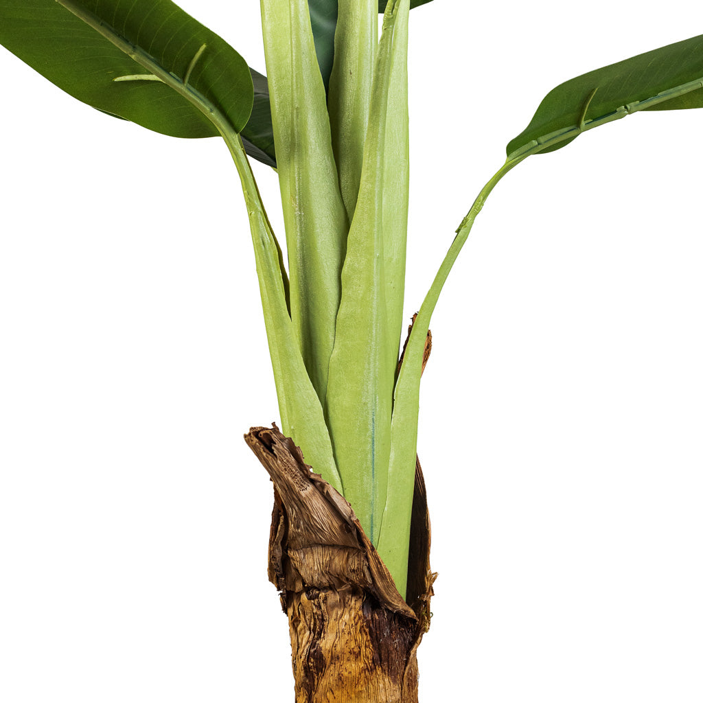 Banana Tree Artificial Close Up Of Stem & Wooden Trunk