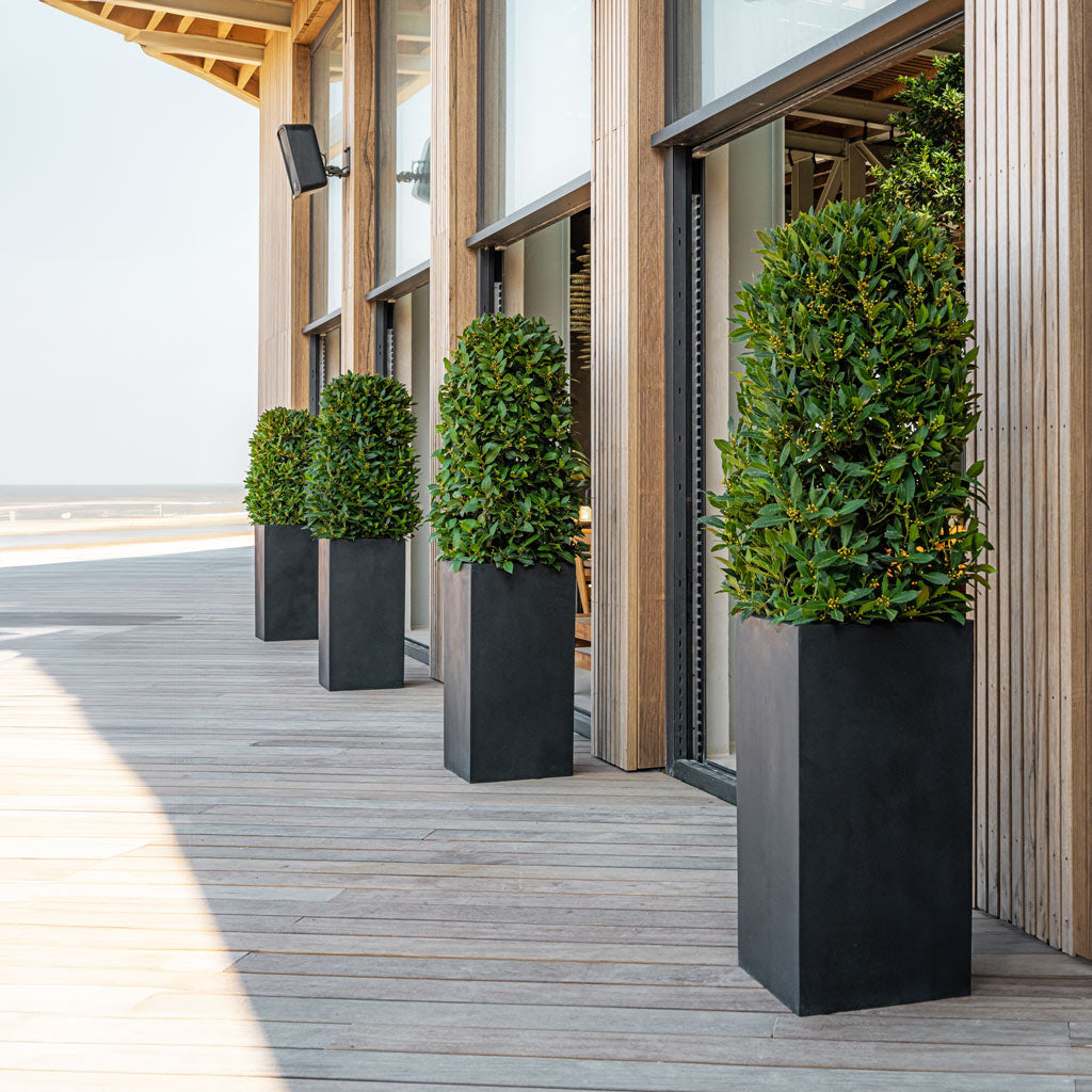 Bouvy Natural Planter - Black & Bay Trees Outdoors