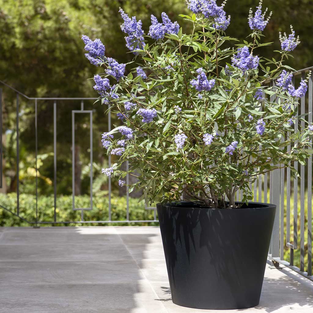 Bucket Natural Planter - Black On Patio