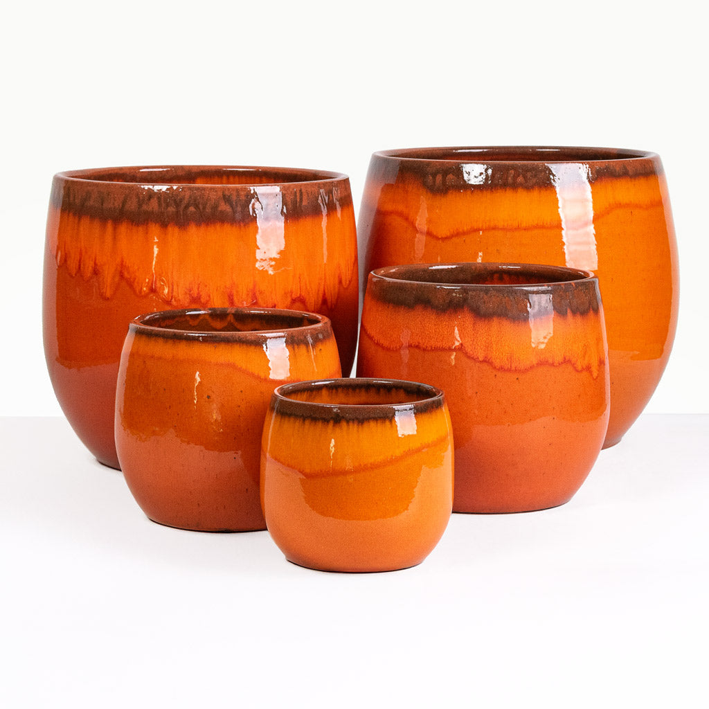 Group of Charlotte Orange Plant Pots