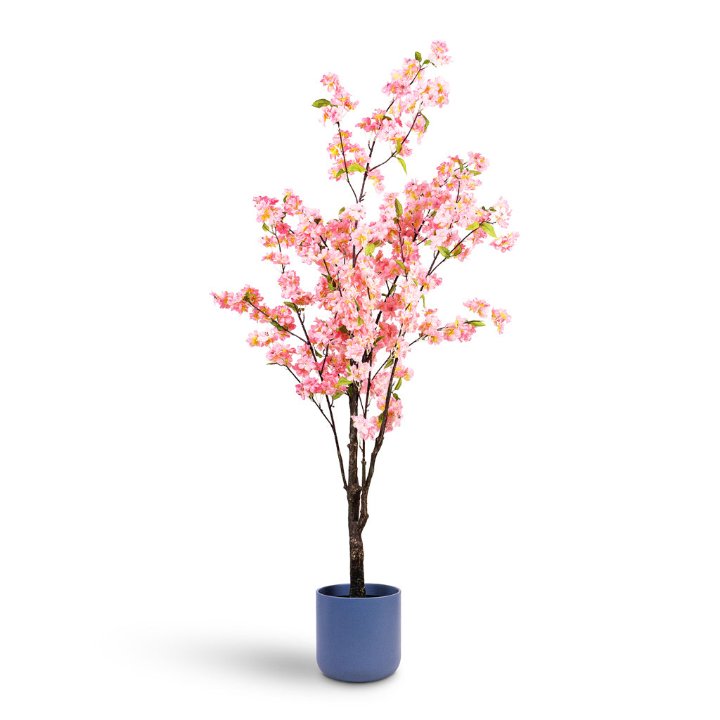 Cherry Blossom Tree Pink Artificial 135cm House Plant In Lisbon Pot Powder Blue 18.5x18.5cm