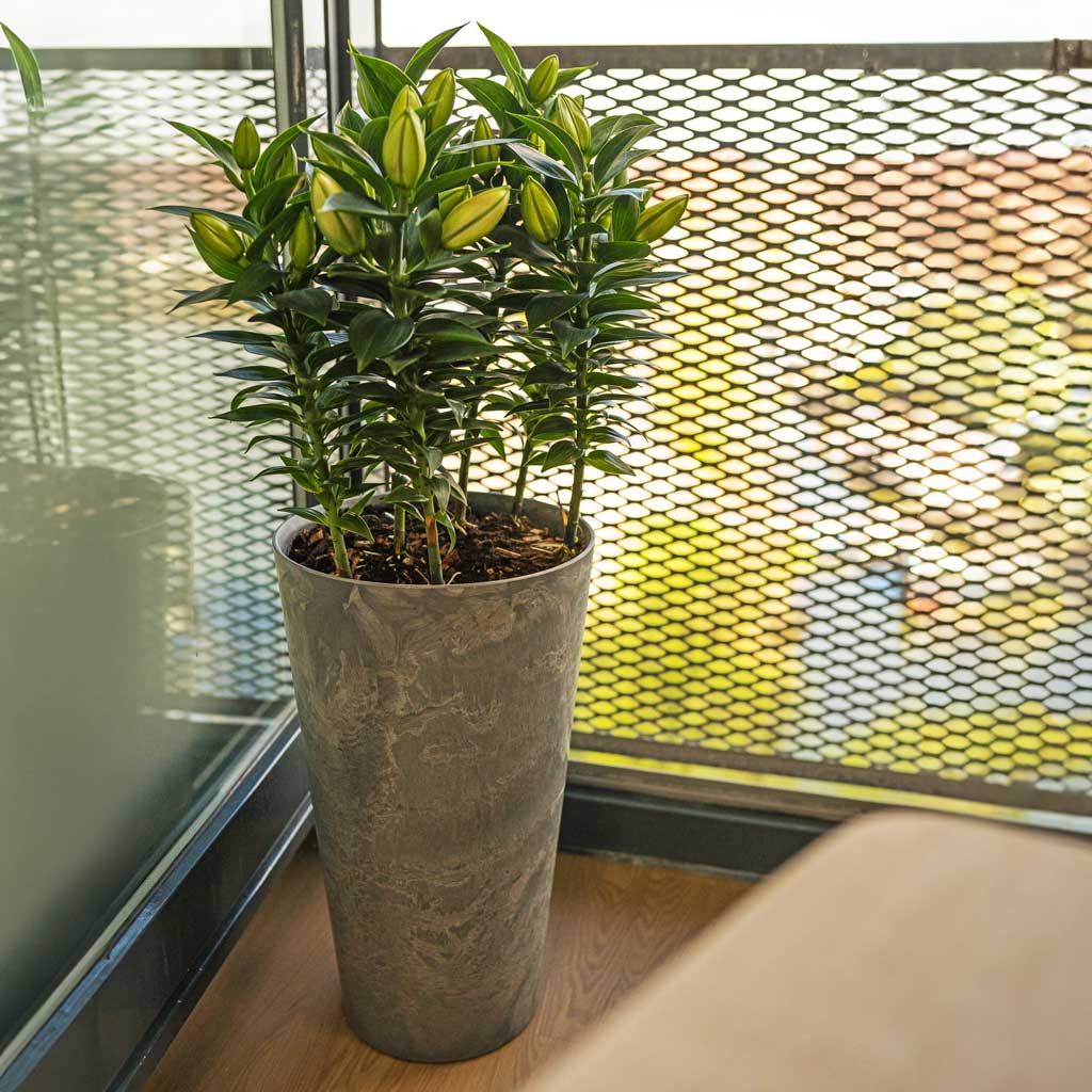 Claire Artstone Tall Planter - Grey With Lilies On Balcony