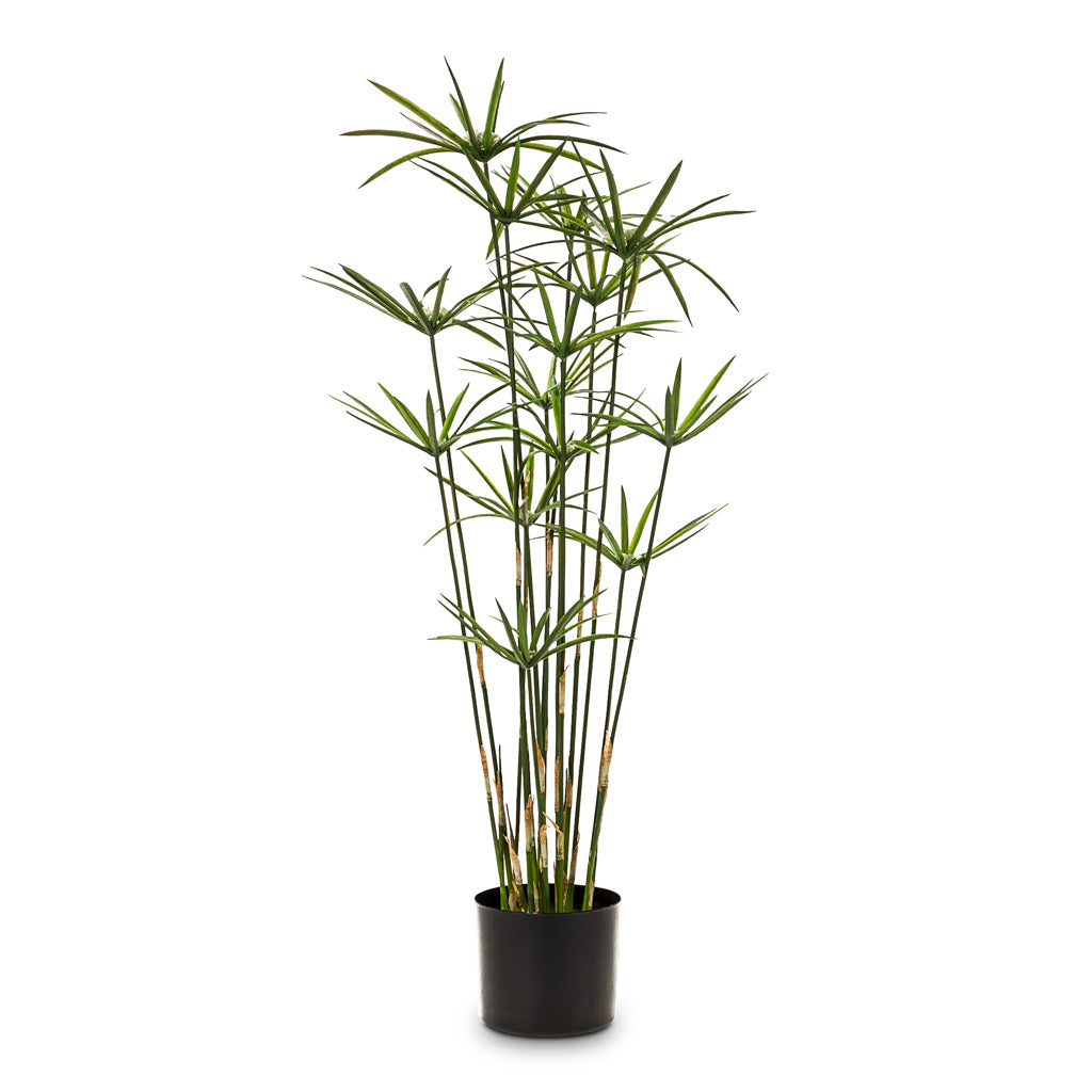 Cyperus Green Artificial - 90cm