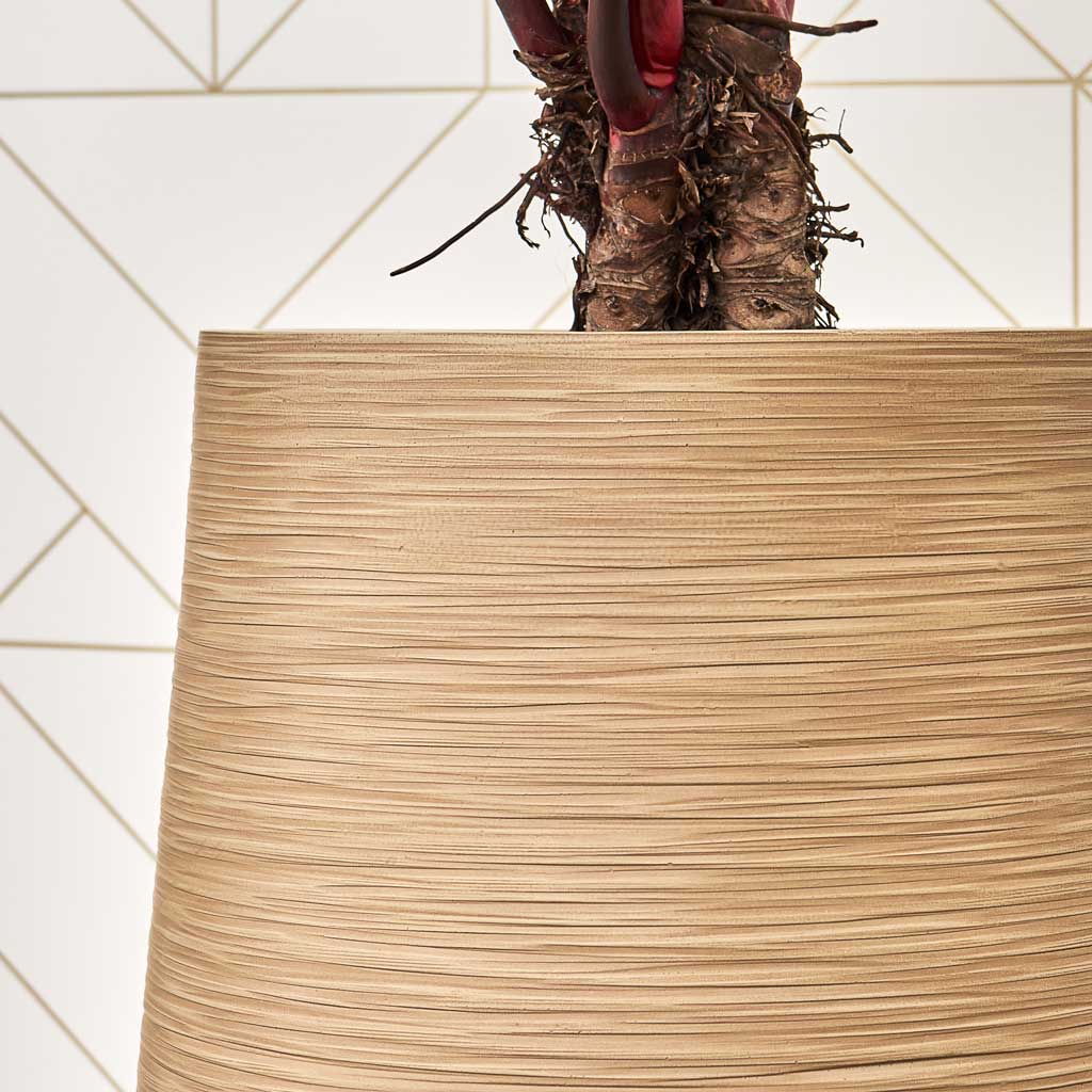 Dune Partner Planter - Almond Edge On White Backgroun