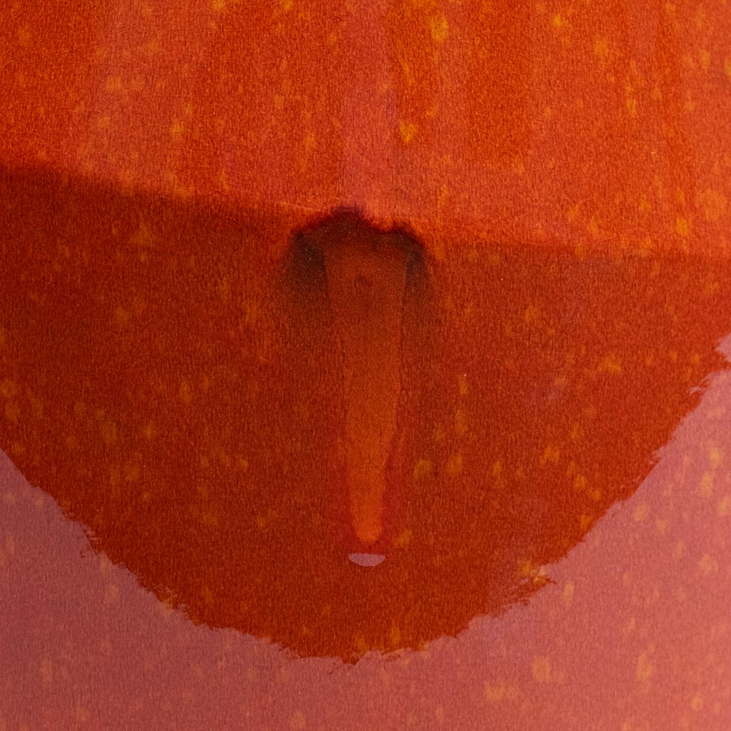 Eddy Pot Orange Close Up