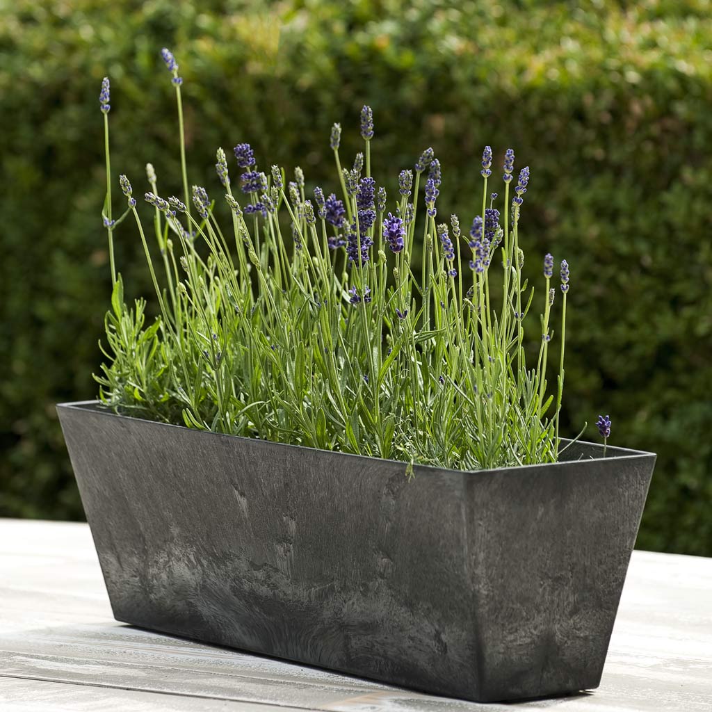 Ella Artstone Balcony Trough Planter - Black & Lavendar