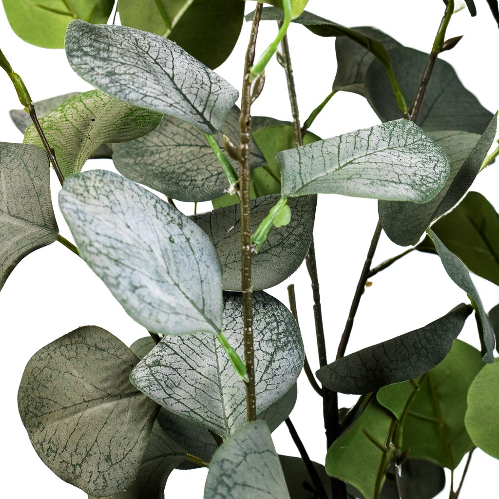 Eucalyptus Tree Artificial Close Up Of Leaves & Stems