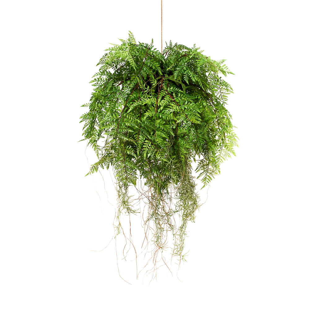 Fern Roots Hanging Artifical - 55cm