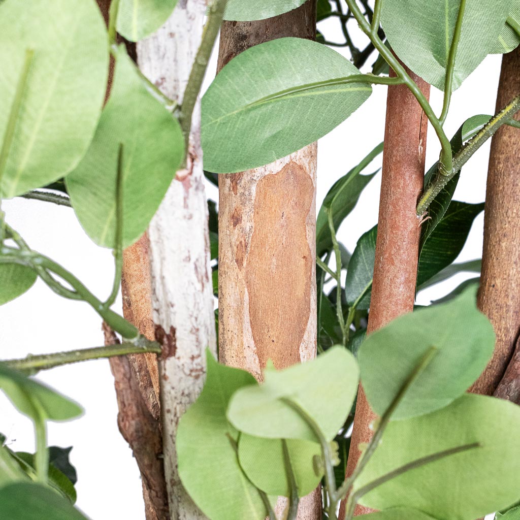 Ficus Deluxe Vine Tree Artificial Close Up Of Stems And Leaves