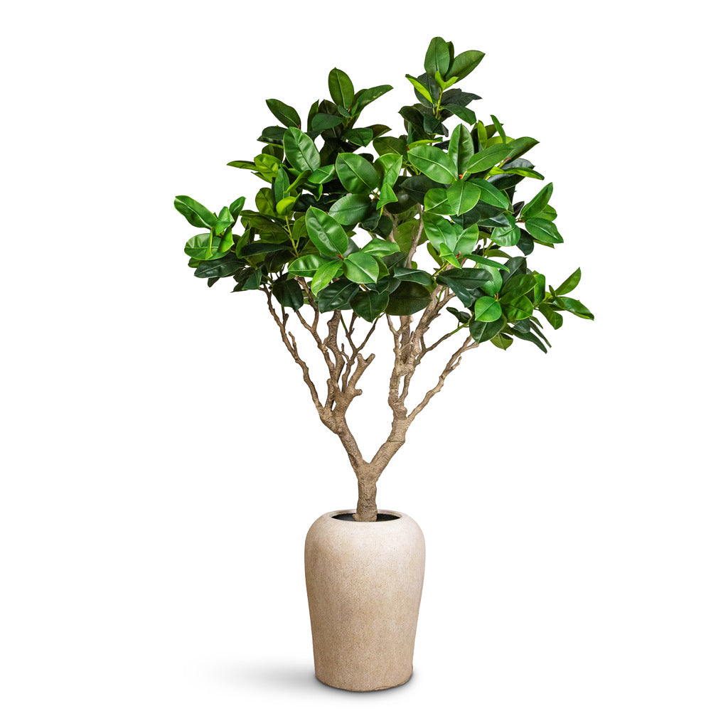 Ficus elastica Botanic Tree Potted Artificial 240cm | Lena Mineral Planter Travertine 55x70cm
