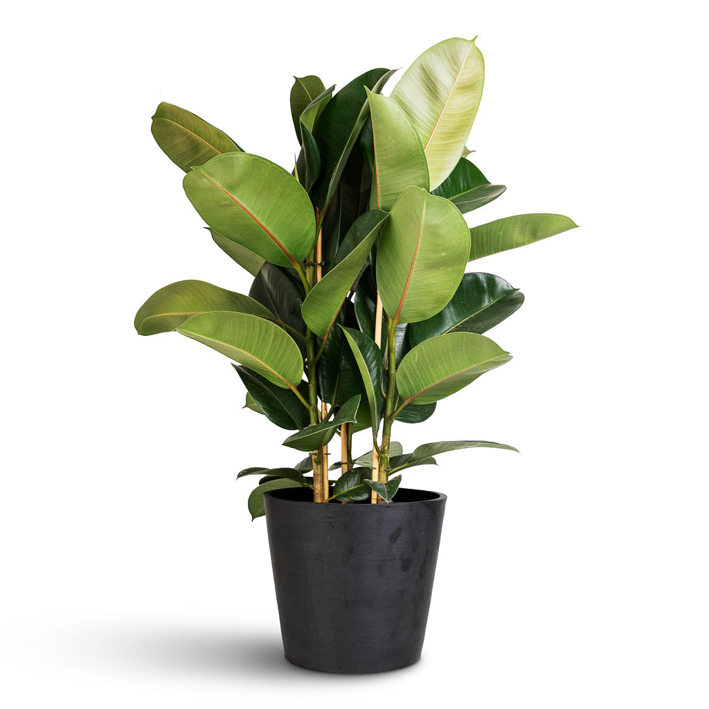 Amsterdam Bucket Planter - Slate
