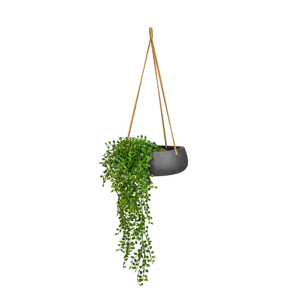 Ficus pumila Hanging Bush UV Resistant Artificial In Eileen Hanging Bowl Black Washed