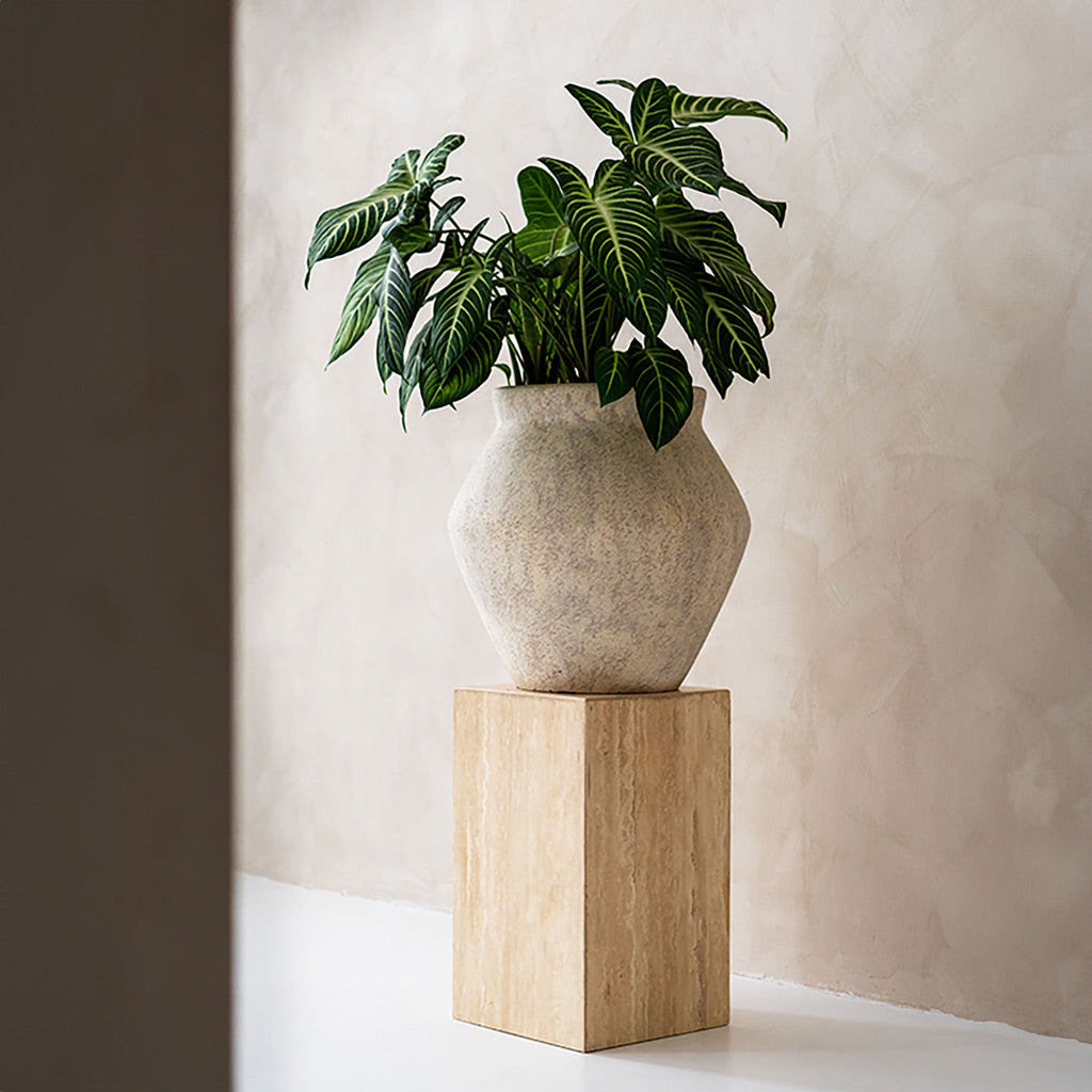 Fleuri Mineral Planter - Travertine & Alocasia