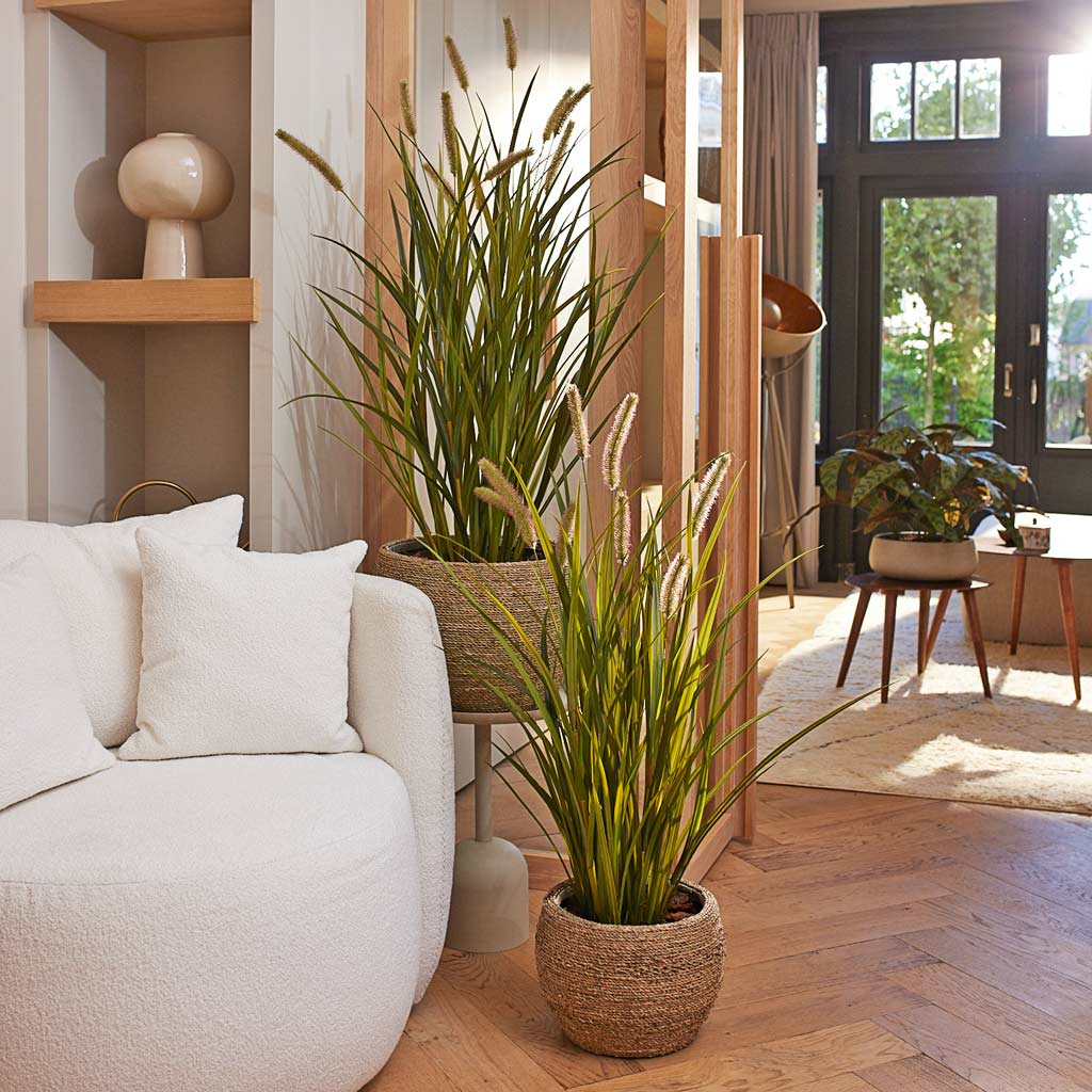 Grass Cattails Artificial In Abby Plant Pot Straw Grass