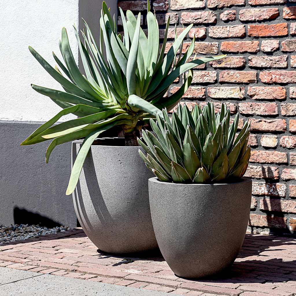 Grigio New Egg Pot Planter - Natural Concrete & Agave Plants