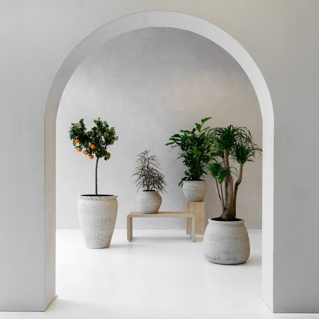 Hestia & Mediterranean Planters - Chalk White