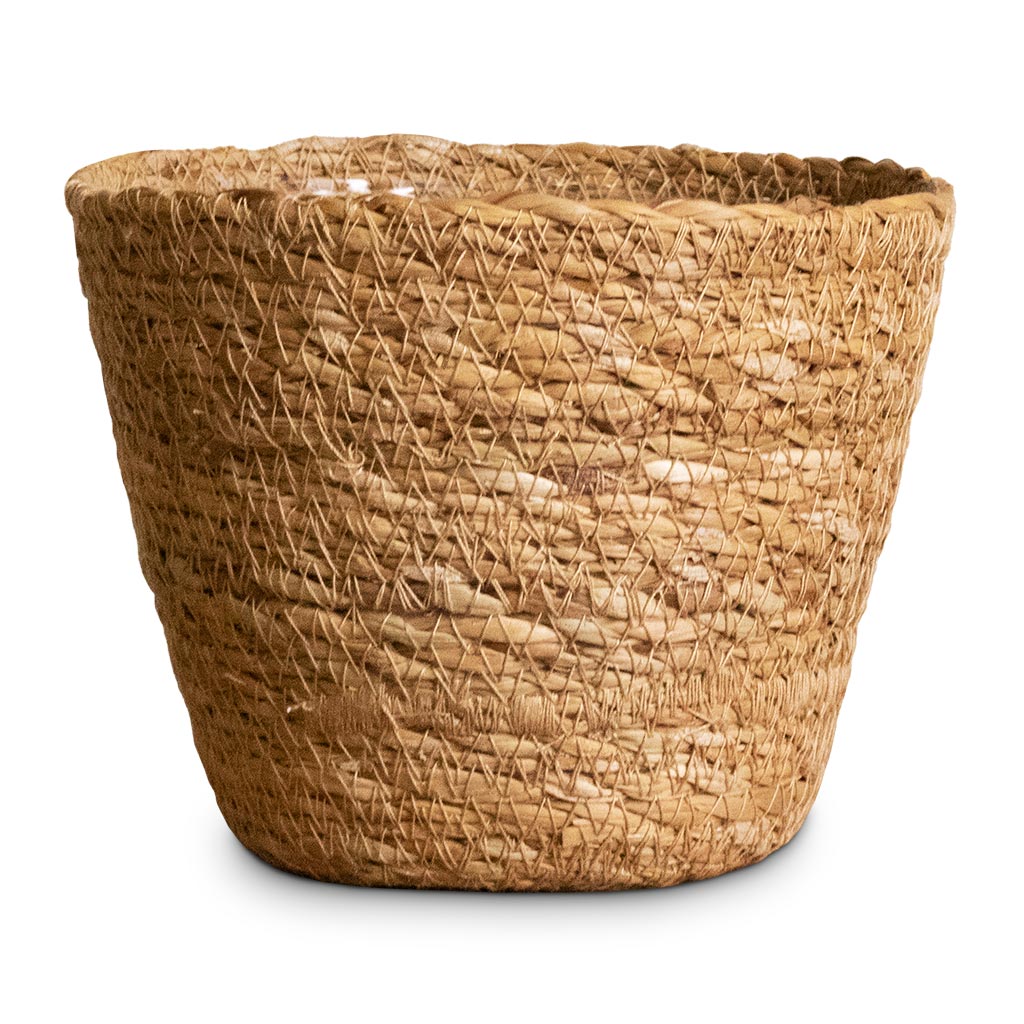 Igmar Plant Basket - Natural Small