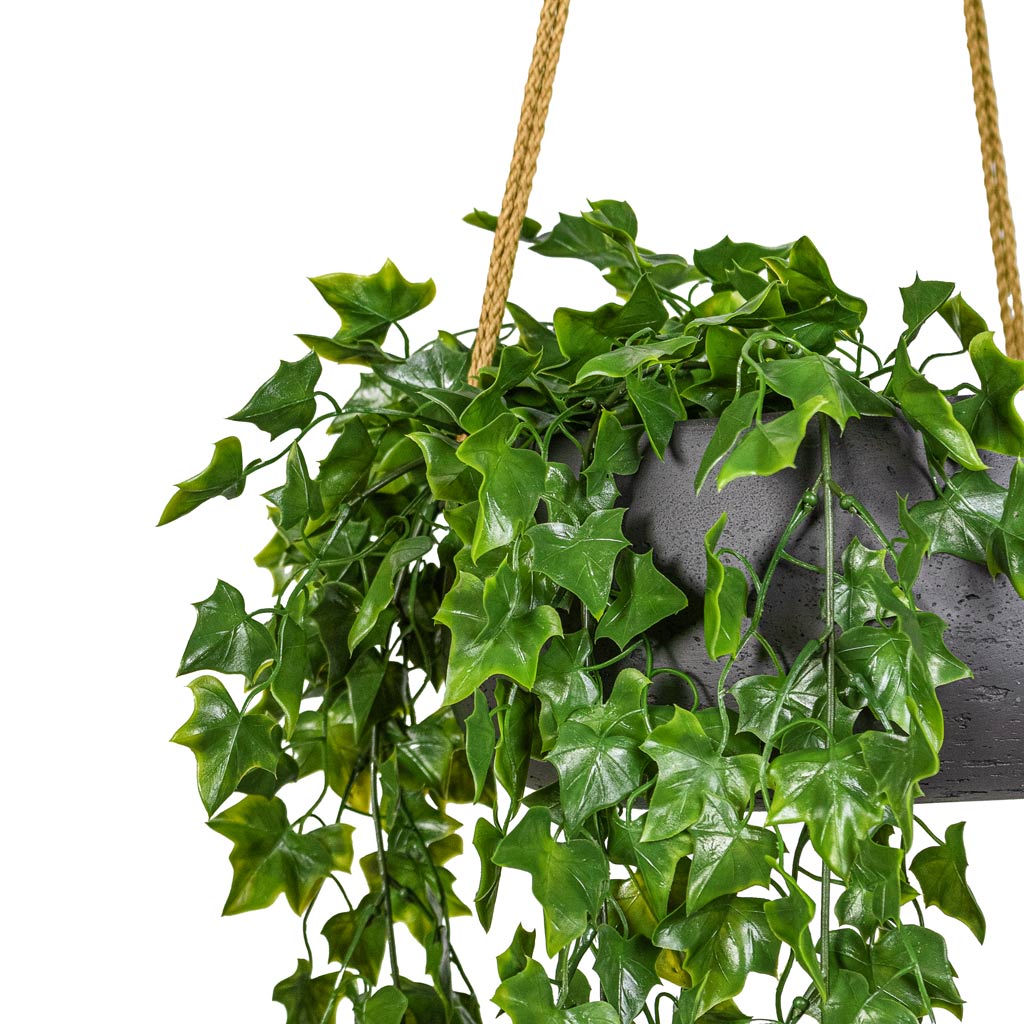Ivy Hanging Bush UV Resistant Artificial In Eileen Hanging Bowl Black Washed