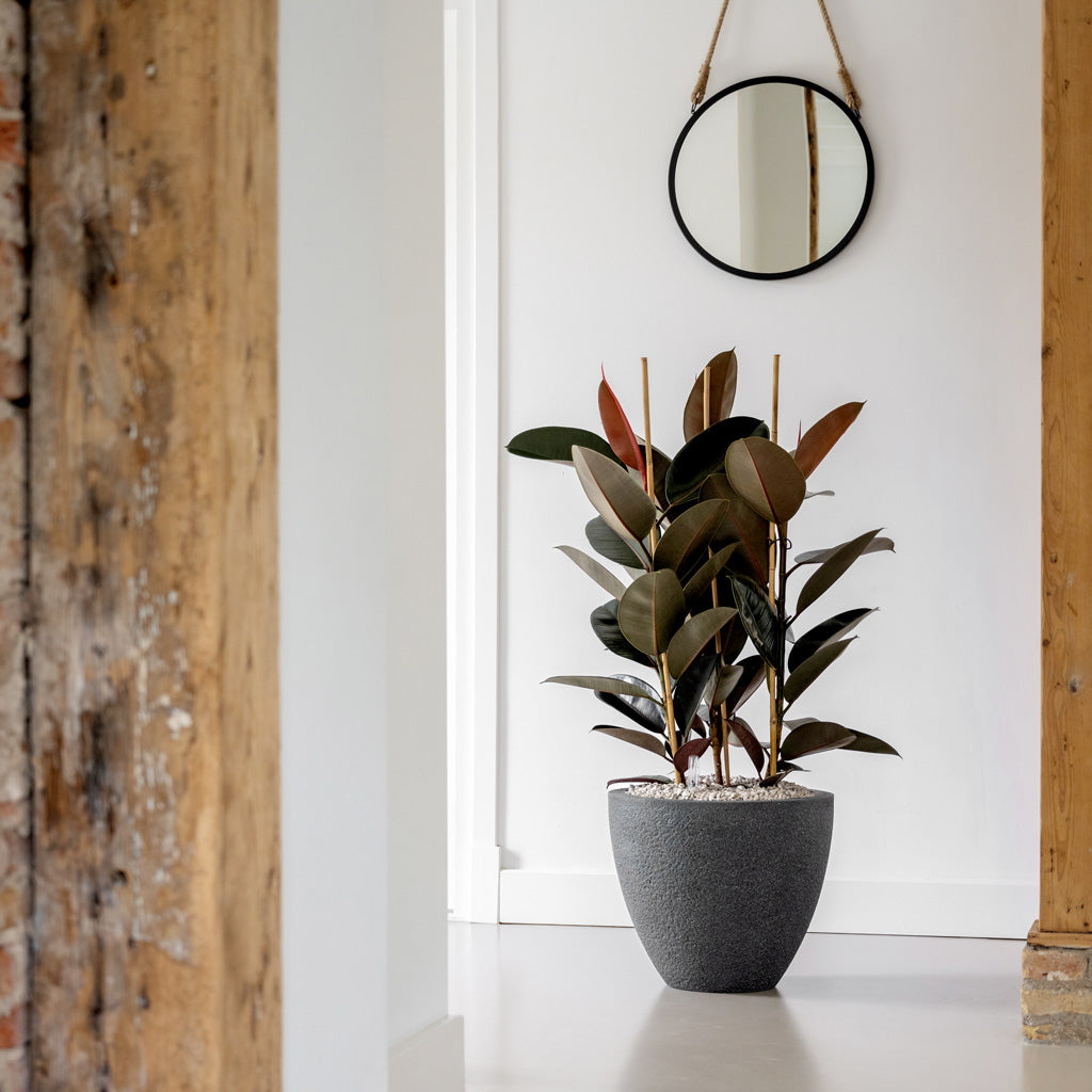 Jesslyn Granite Planter - Midnight Black in hallway
