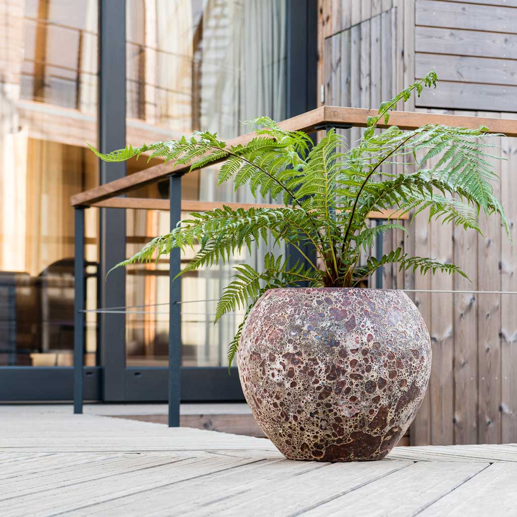 Lava Balloon Relic Planter - Pink & Fern On Decking