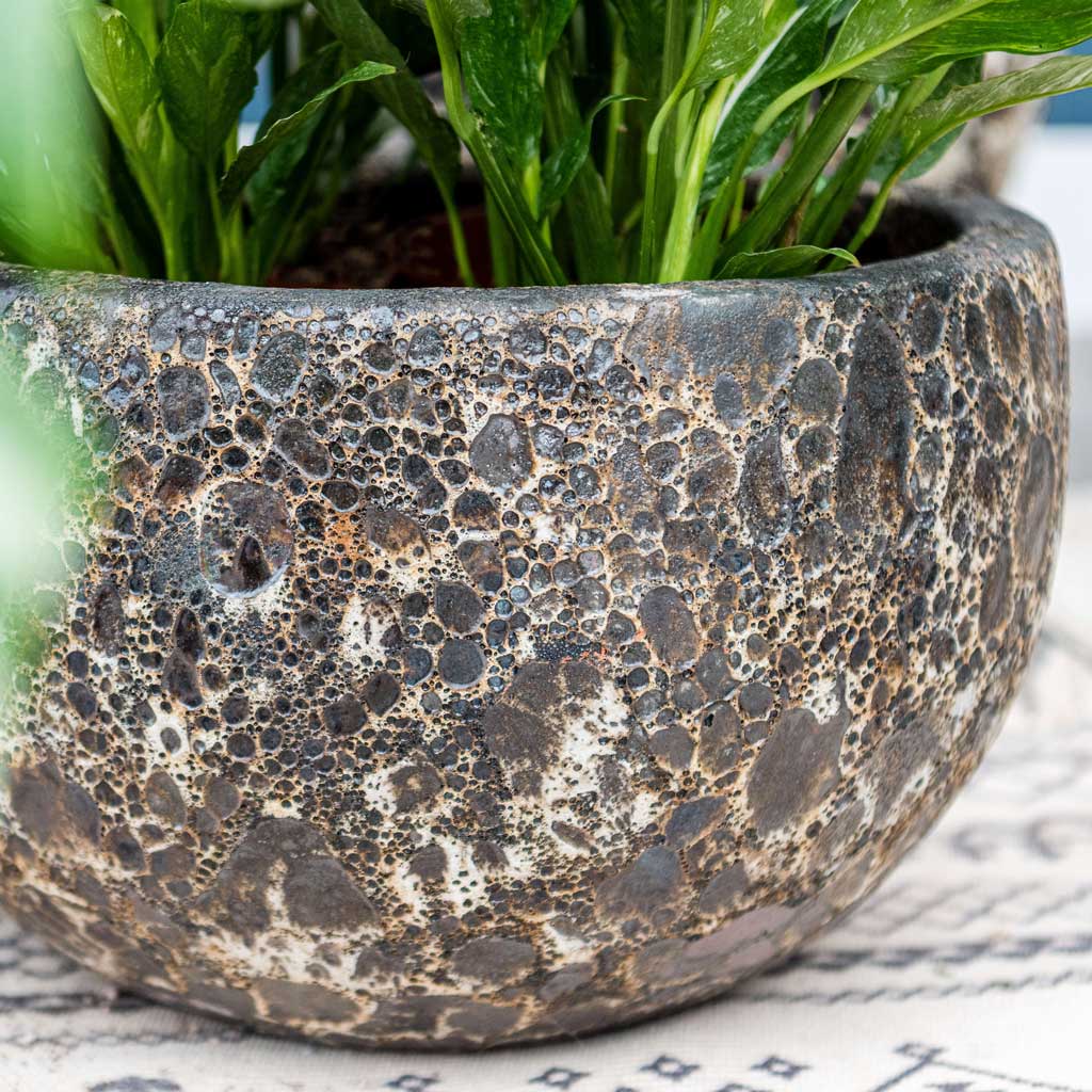 Lava Bowl Relic Planter - Black