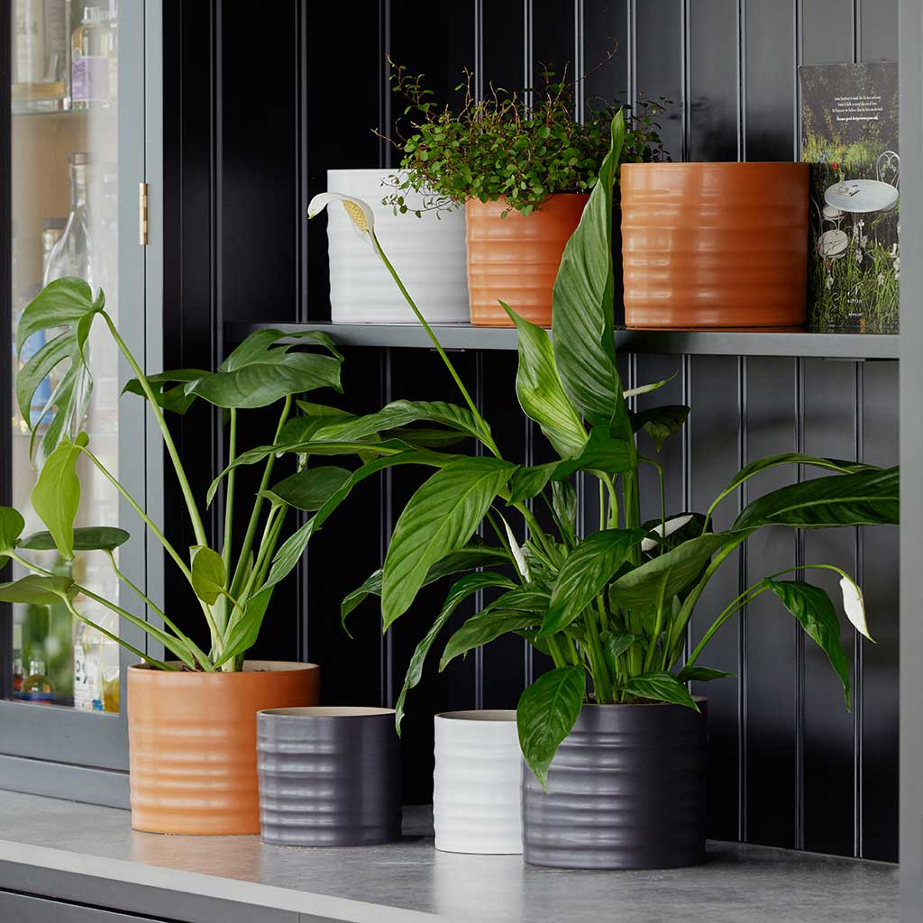 Hadleigh Plant Pots