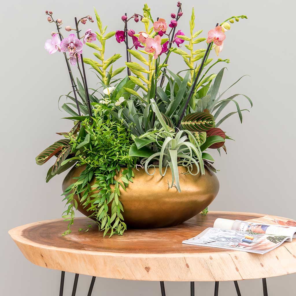Metallic UFO Plant Bowl Matt Honey & Floral Arrangement