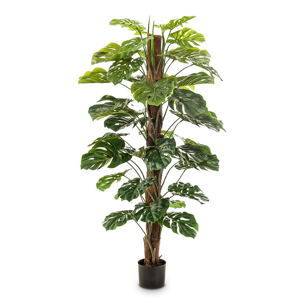 Monstera on Pole - Artificial - 150cm