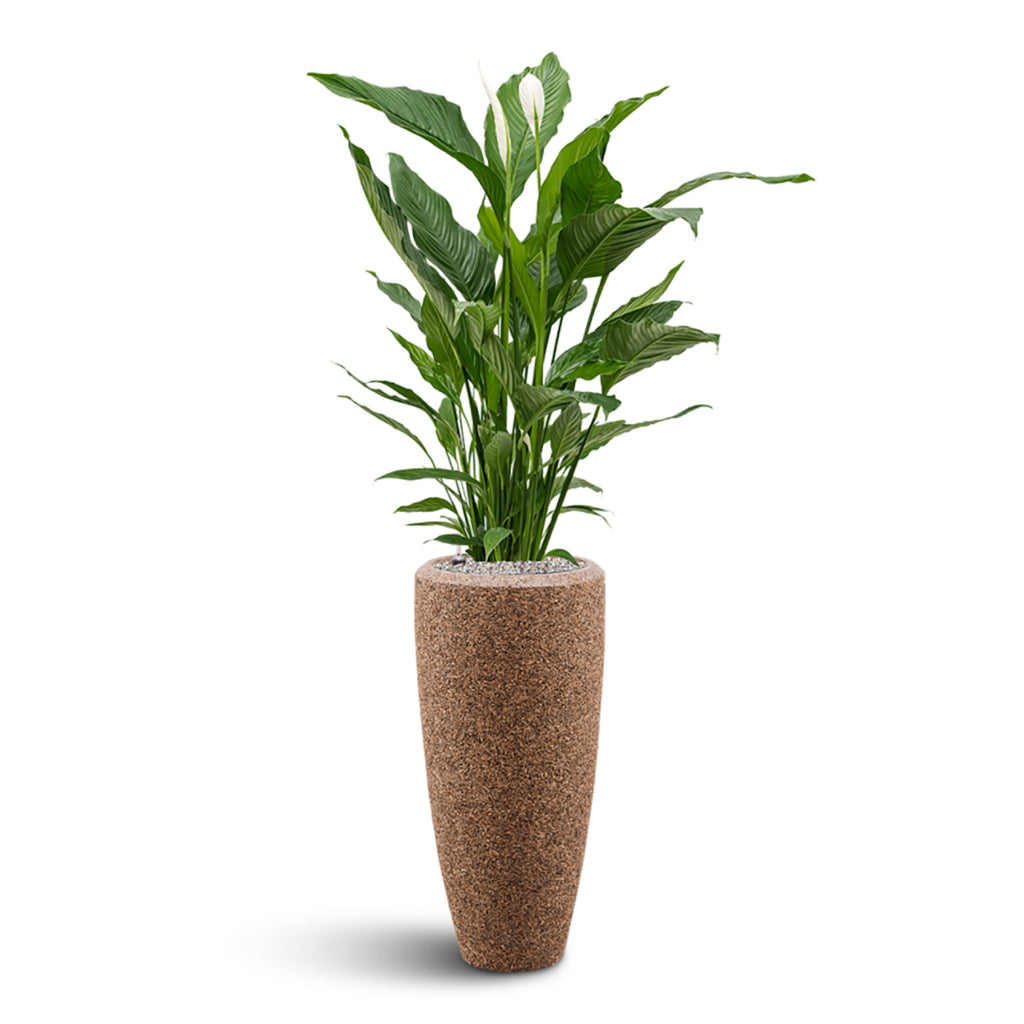 Naturescast Partner Planter - Natural & Peace Lily