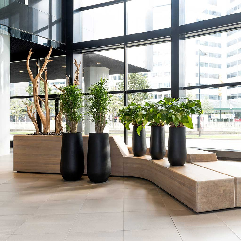 Nax Natural Planter Black Office Planters