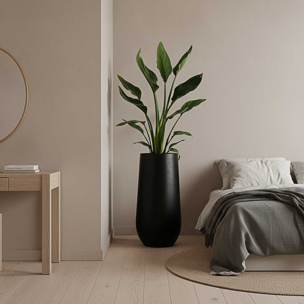 Strelitzia reginae - Bird of Paradise in Nax Natural Tall Planter - Black