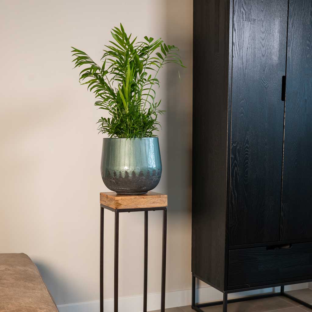Ninthe Metal Plant Pot - Metallic Petrol - Indoor Palm