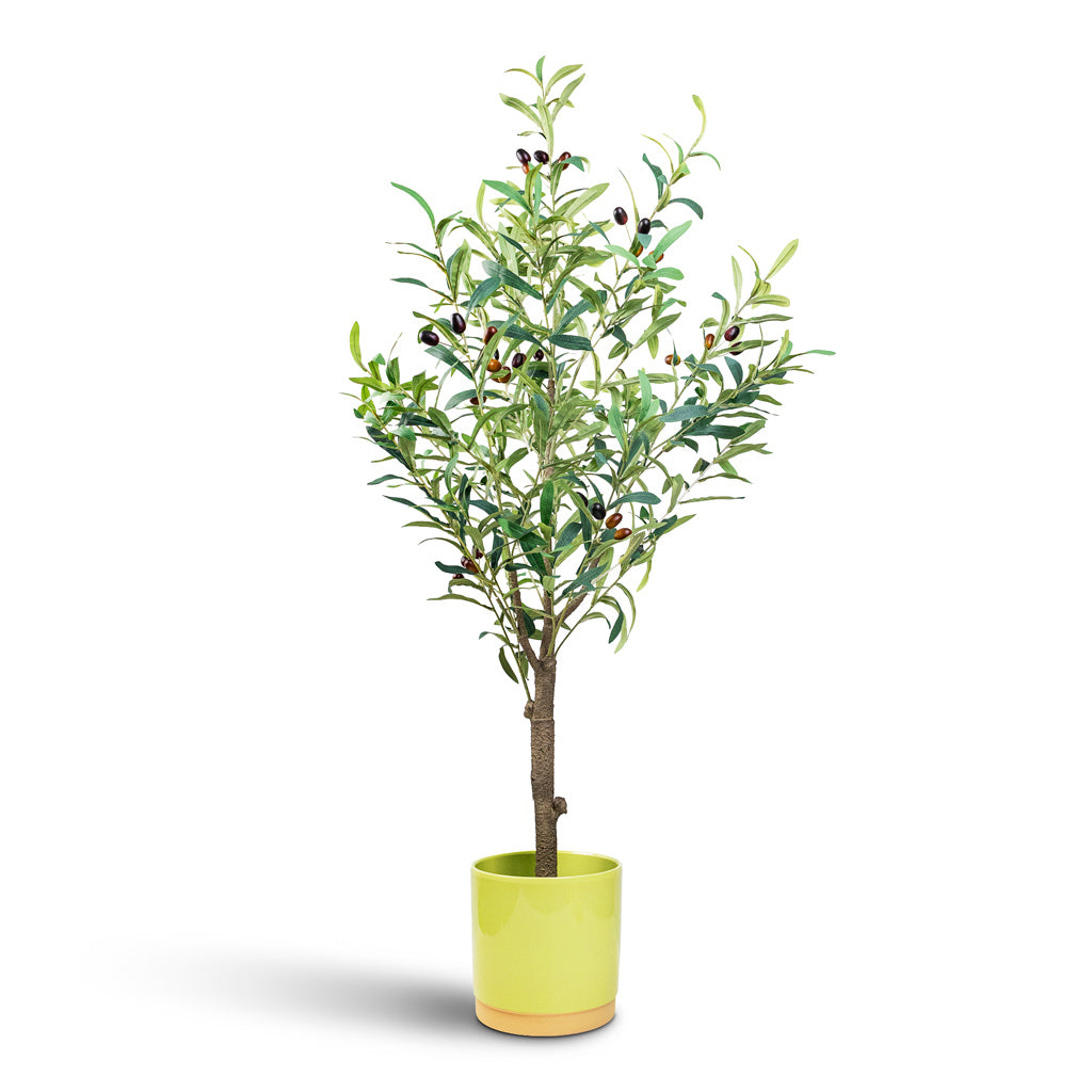 Olive Tree Artificial - 115cm Artificial Plant in Saske Pot Pastel Green - 18x17cm