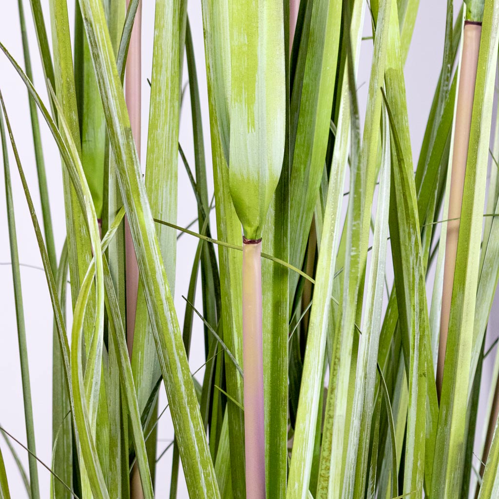 Pampas Grass Potted Artificial Close up