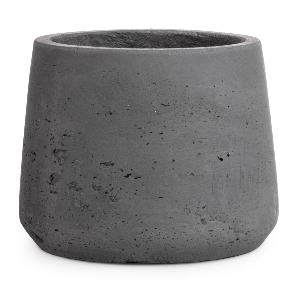 Patt Plant Pot Black Washed - 14x11cm