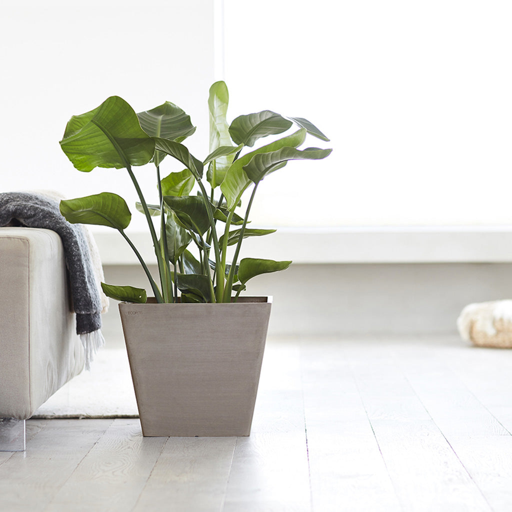 EcoPots Rotterdam - Taupe Recycled Planter