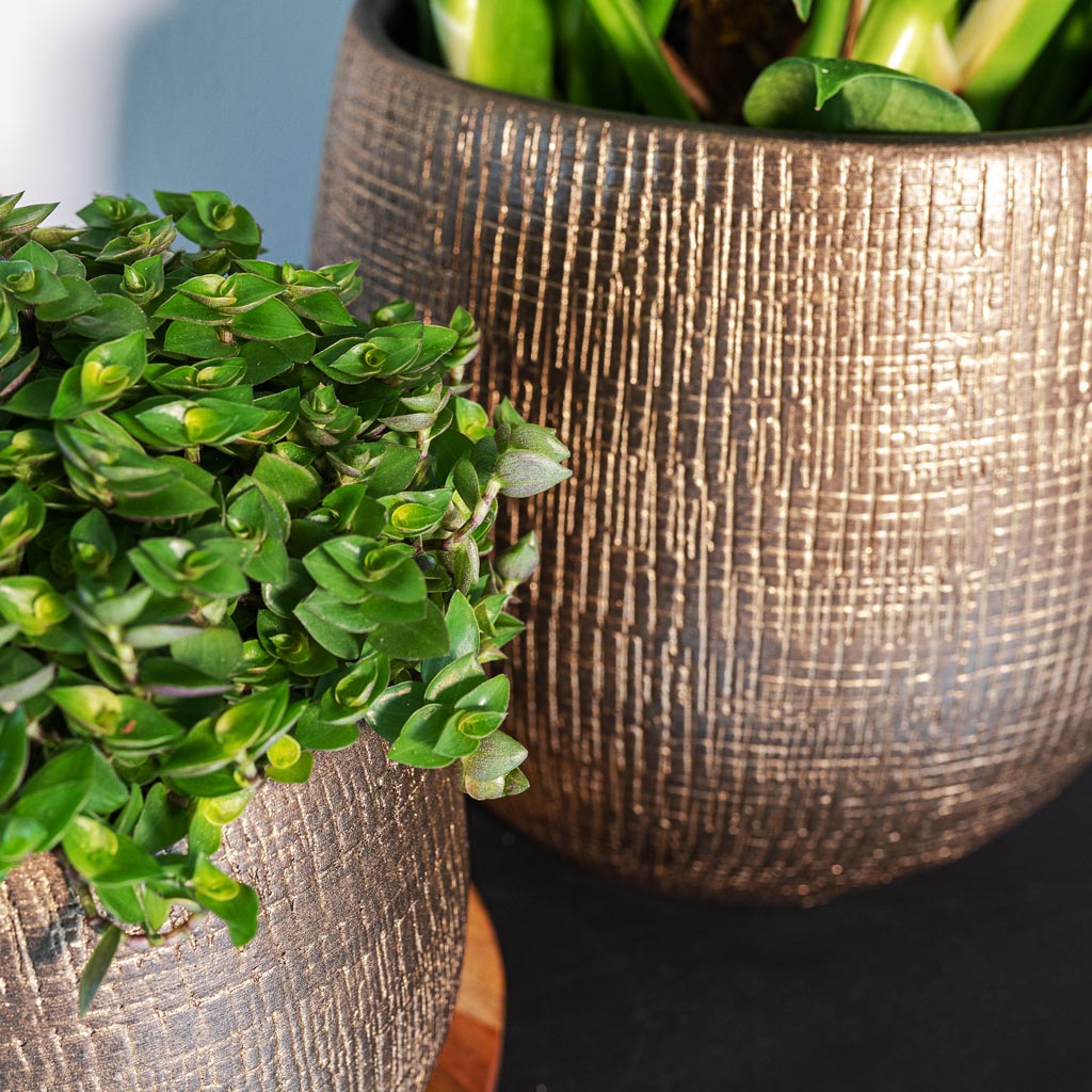 Ryan Shiny Gold Plant Pots