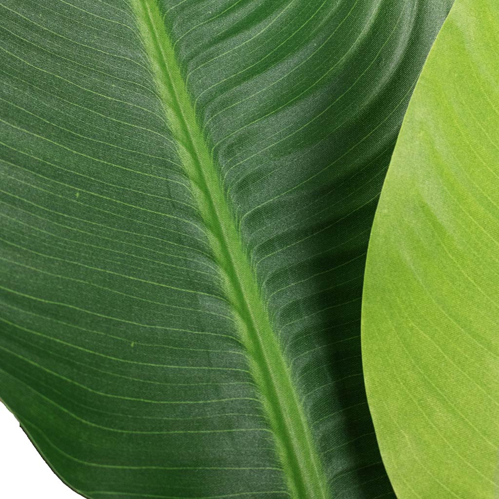 Strelitzia Bird of Paradise Artificial Close Up Of Leaves