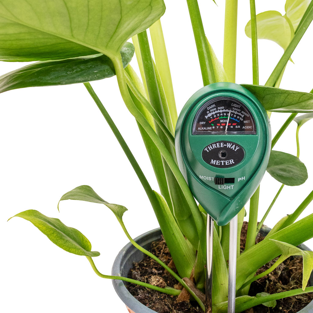 PH Moisture Light Meter In Moisture Metering Mode