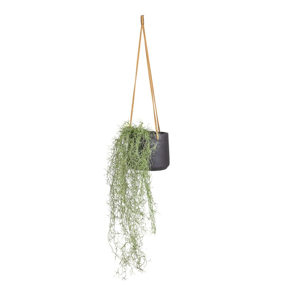 Tillandsia Hair Bush Artificial In Patt Hanging Pot Black Washed