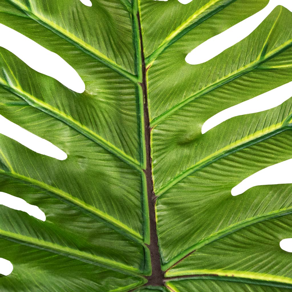 Tree Philodendron Artificial Close Up Of Leaf