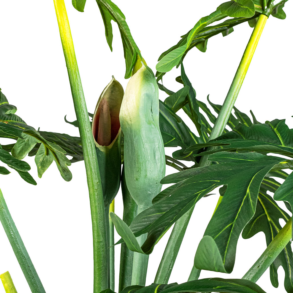 Tree Philodendron Artificial Close Up With Flowers
