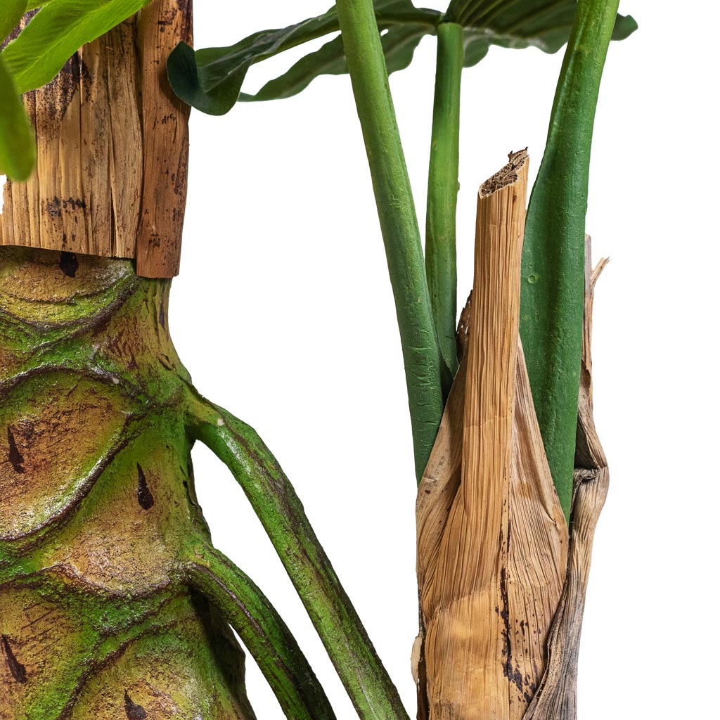 Tree Philodendron Artificial Of Wooden Trunk And Stems